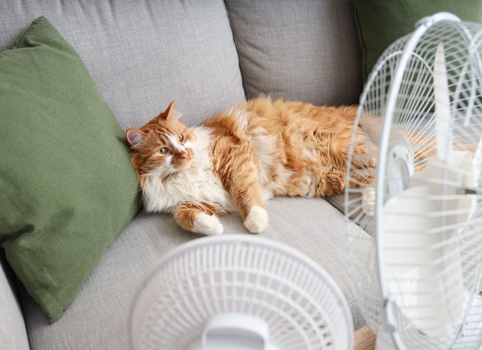 Chápeme vaše individuální požadavky